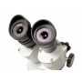 Mikroskop Levenhuk 3ST Stereo 20x-40x