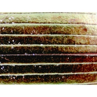 Mikroskop DeltaOptical BioLight 300 40x-400x