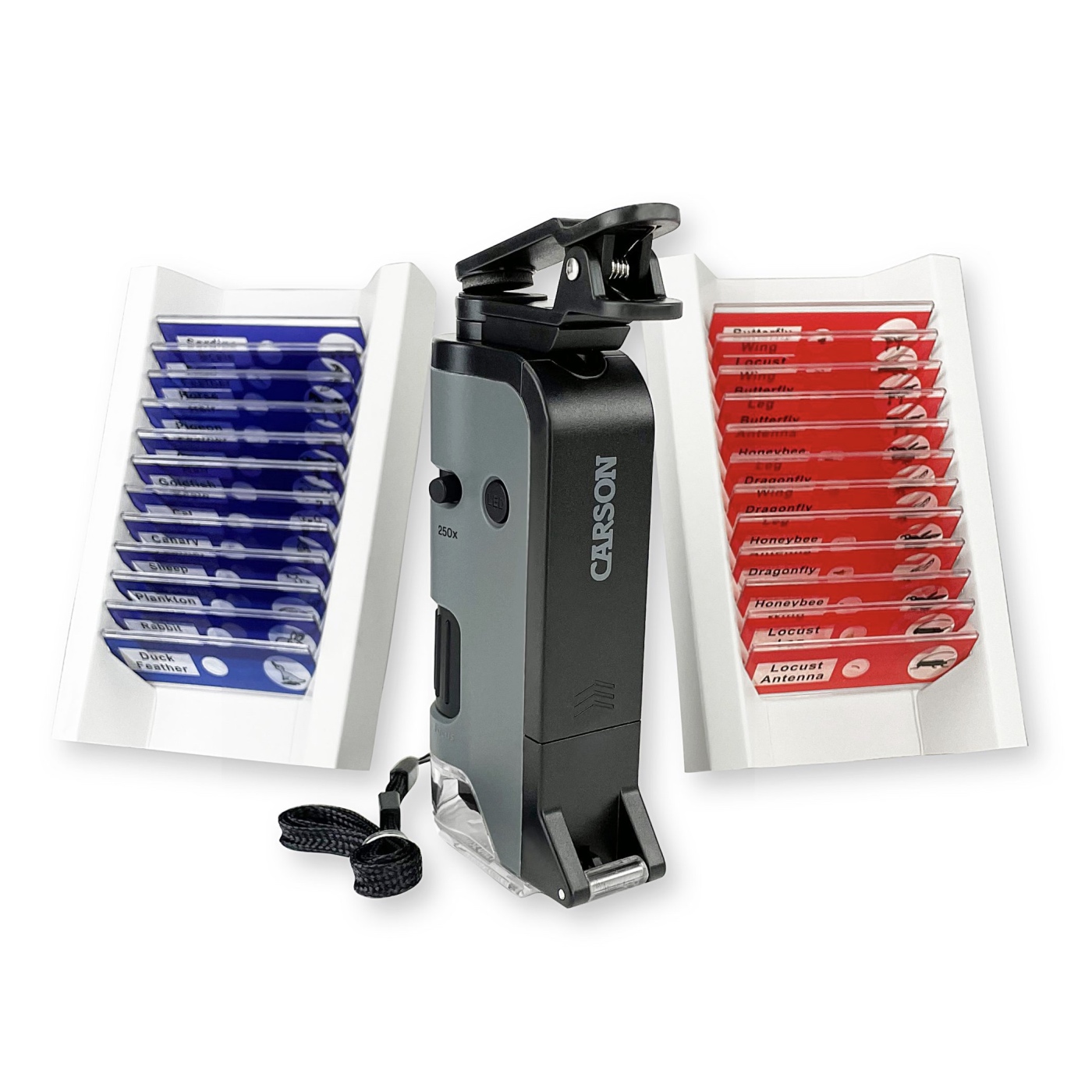Mikroskop Carson MicroFlip™ 100x-250x LED/UV + Sada hotových preparátů 24...